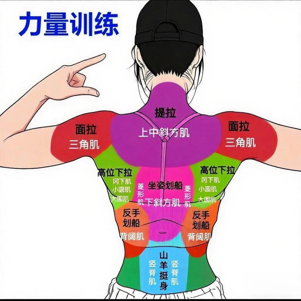 自重动作